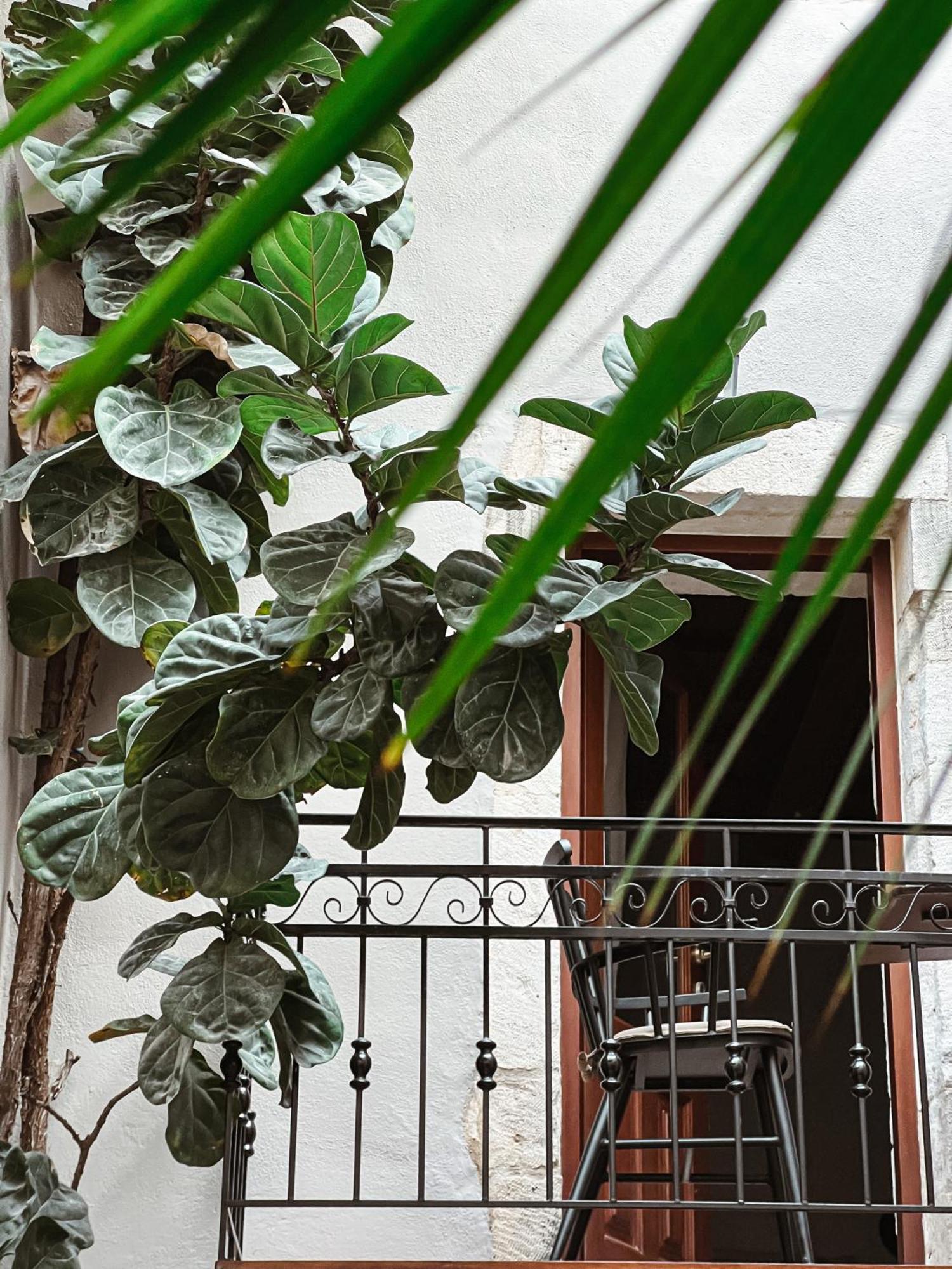 Hotel Casa Dei Delfini Rétino Exterior foto